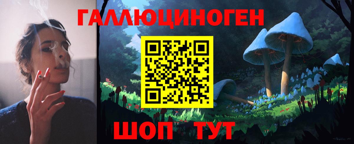 Псилоцибиновые грибы Cubensis Электрогорск